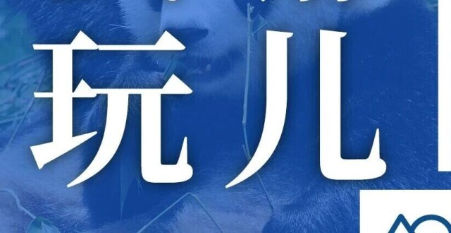本周成都免费市集大放送，不容错过的周末活动