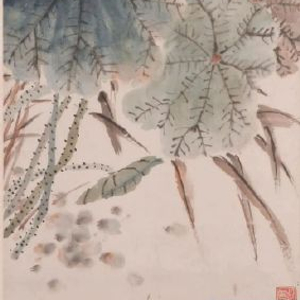 成都杜甫草堂博物馆的荷花展具体有哪些亮点值得打卡? 配图