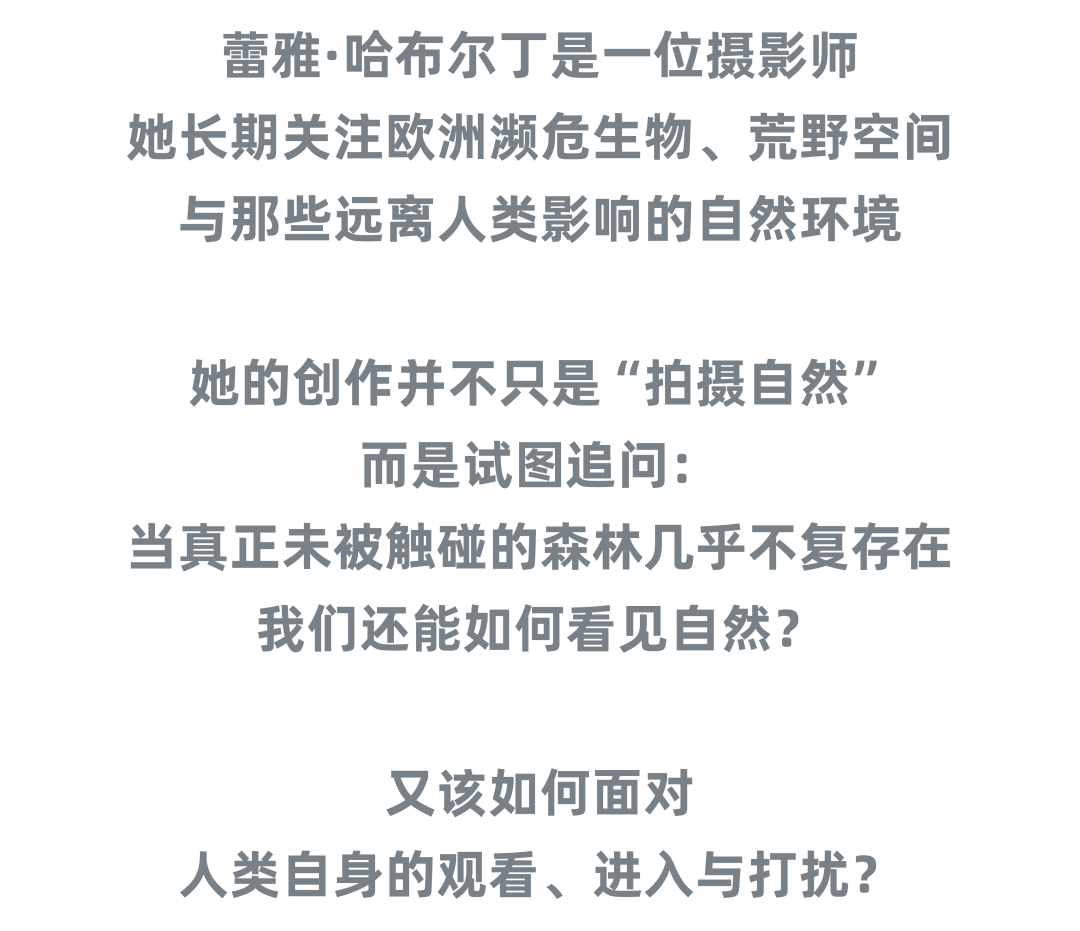 成都复星艺术中心新展|法国艺术家蕾雅·哈布尔丁摄影展,走进一片正在呼吸的影像森林 配图