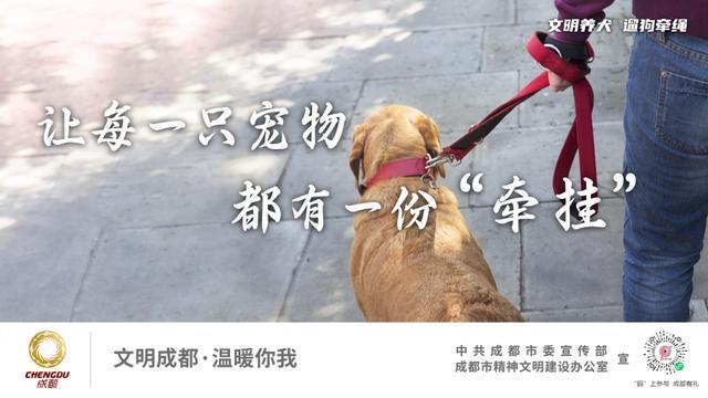 成都文明画报：记录城市温暖瞬间 配图