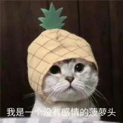 黄子韬这次成都演唱会反响如何？ 配图