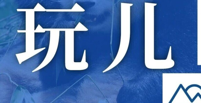 大多免费！成都8月6日-9日5大宝藏市集推荐！