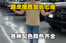 玩不封顶敞开了装！纵横品牌成都车展解锁多元潮玩生活 配图