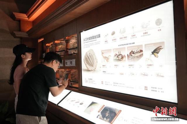 成都商场藏“热带雨林”:400平方米爬宠博物馆成新宠 配图