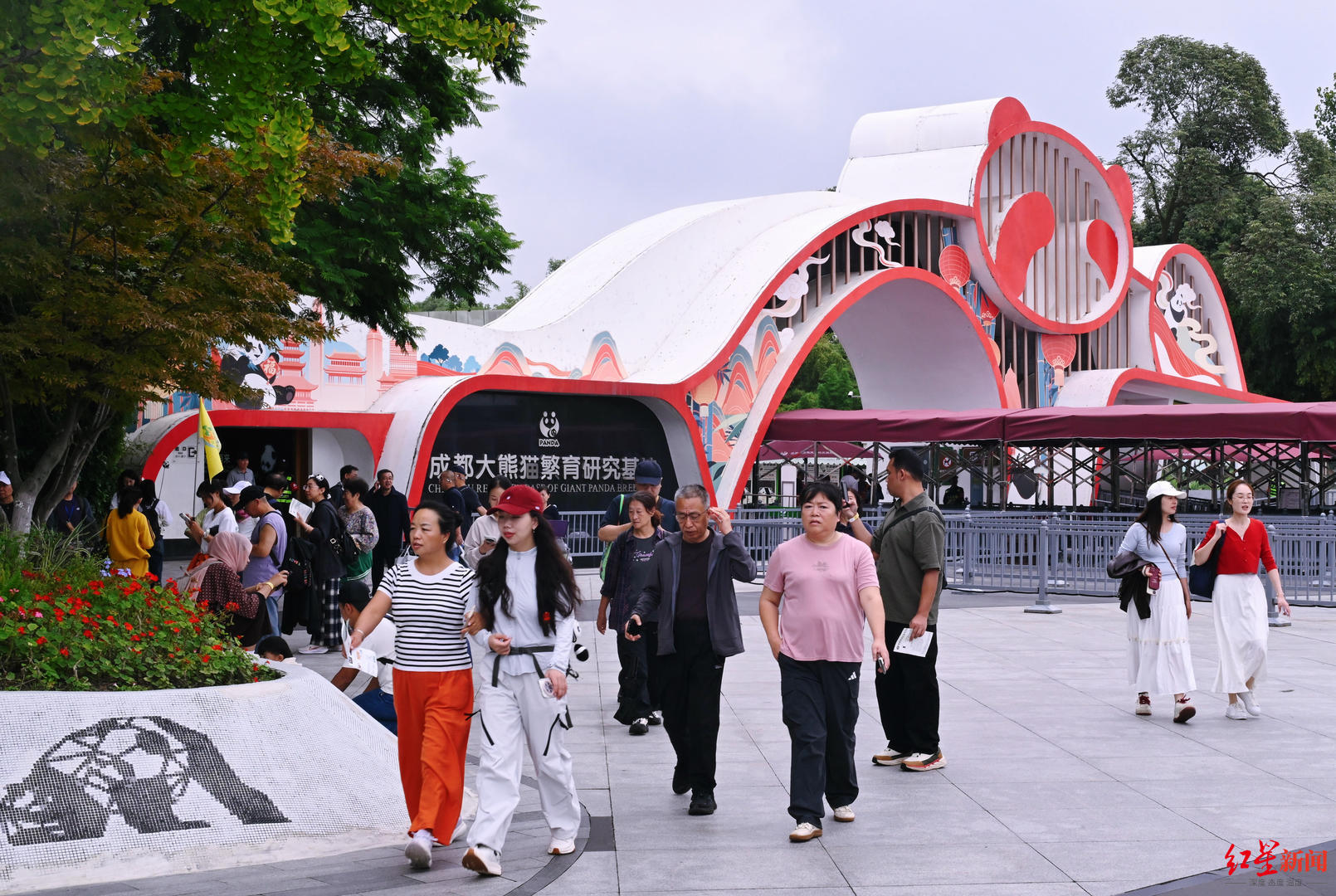 双节迎客，成都熊猫基地焕新：服务提质、保障升级、文旅活动上新
