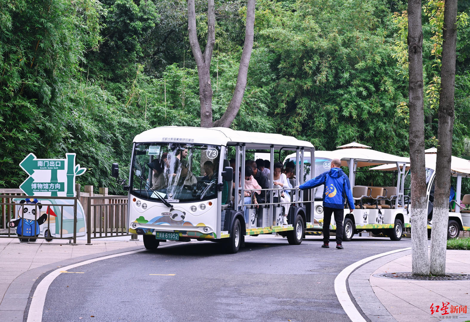 双节迎客，成都熊猫基地焕新：服务提质、保障升级、文旅活动上新 配图