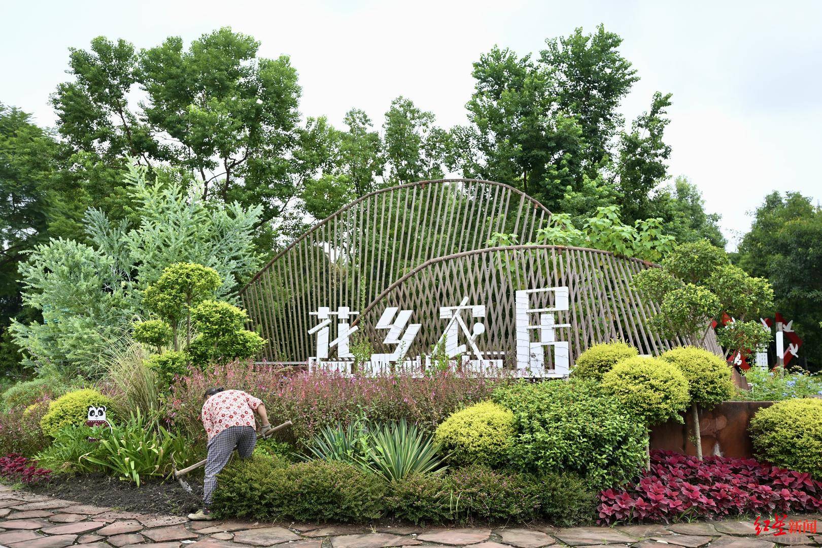 治乱、疏堵、提质！三圣花乡到春熙路，成都文旅环境迎来一波“微更新”