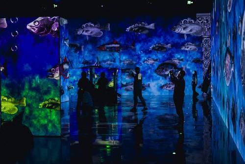 国庆三天,成都国际数字光影艺术节客流量增幅超74% 配图