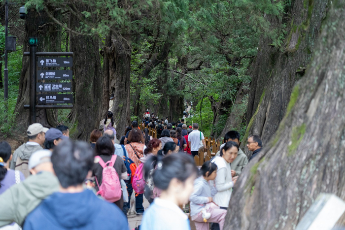从看客到入戏，红色研学、文博非遗、百业场景在四川假日文旅市场深融合|三苏祠博物馆|四川省|国庆节|安顺场|成都市 配图