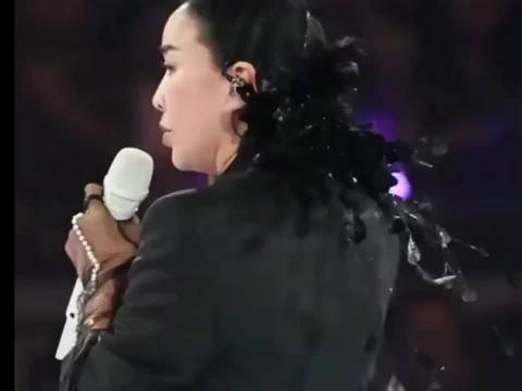 那英成都演唱会临时清唱悼念刘欢，未报批节目引处罚争议 配图